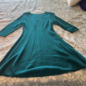Green The Limited Sweater Dress